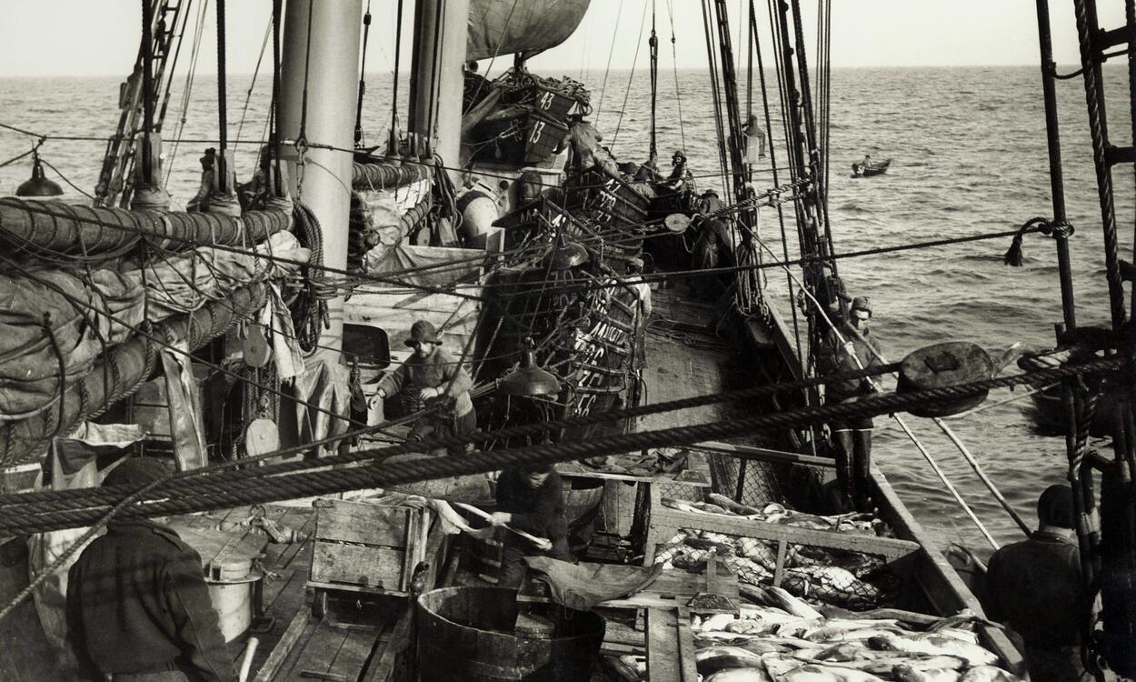 Foto CDI - Centro Documentacao Ilhavo On the Grand Banks