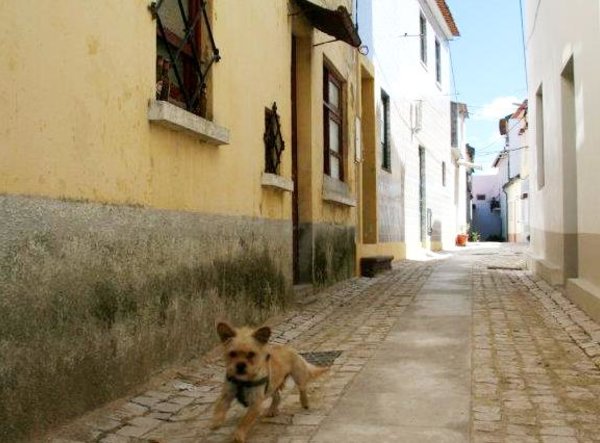 centro_historico_4