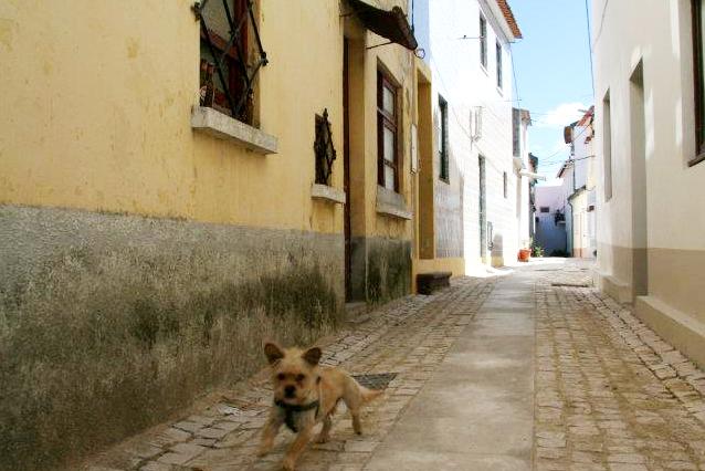 Ílhavo Walking Tour