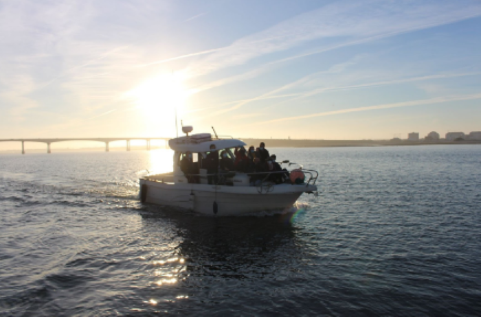 Tudo sobre os bivalves da Ria de Aveiro - tour 3 horas