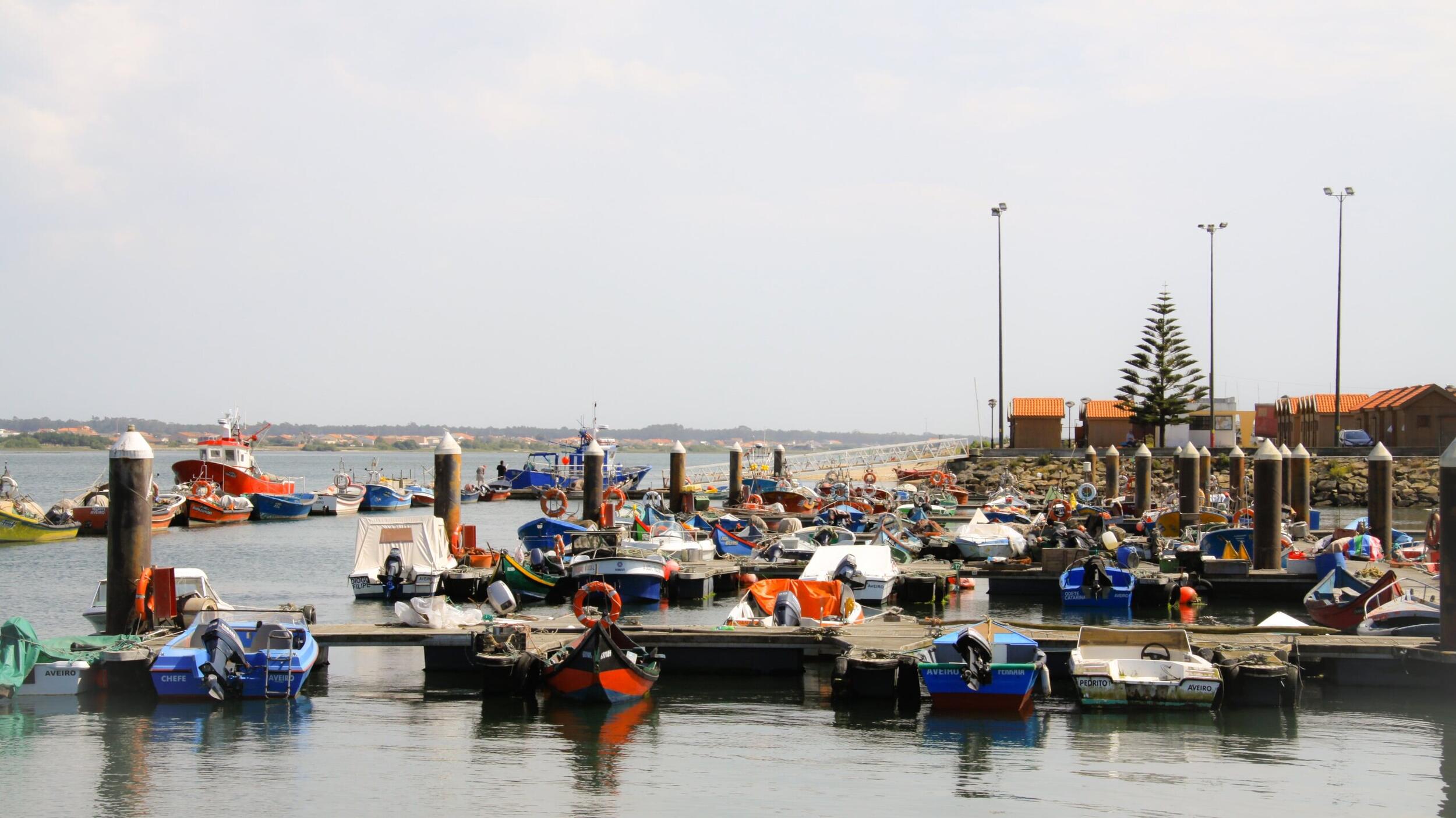 Costa Nova do Prado - as pescas e a praia (passeio pedestre)