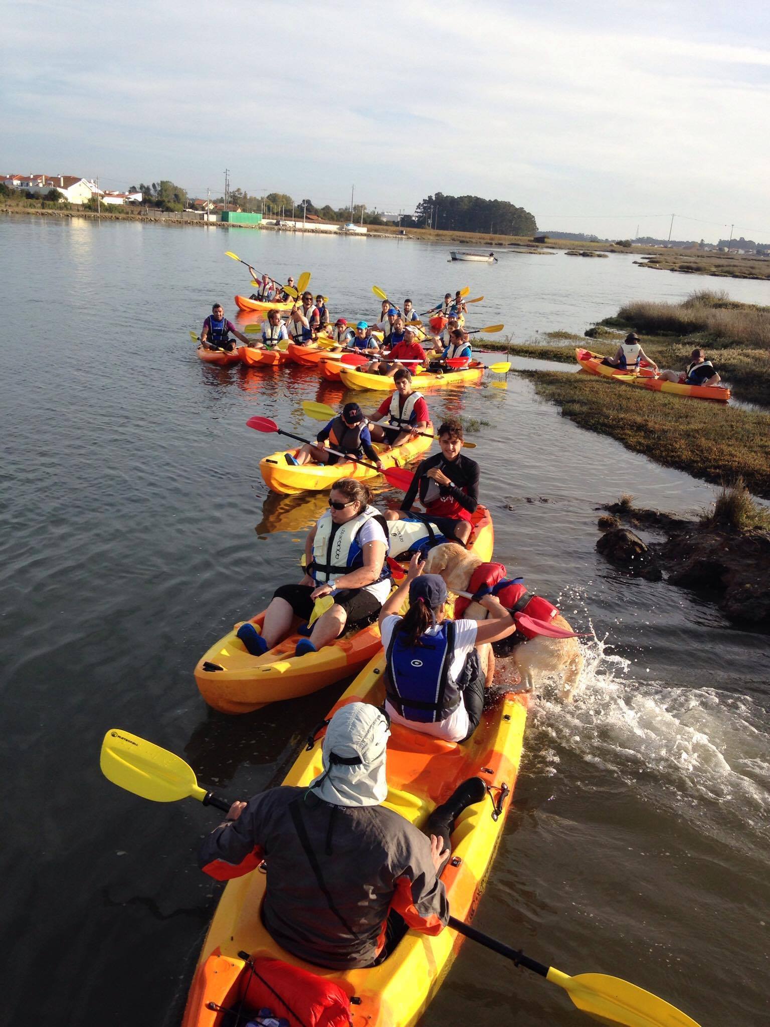 Rota dos Esteiros com a Outdoor Feelings
