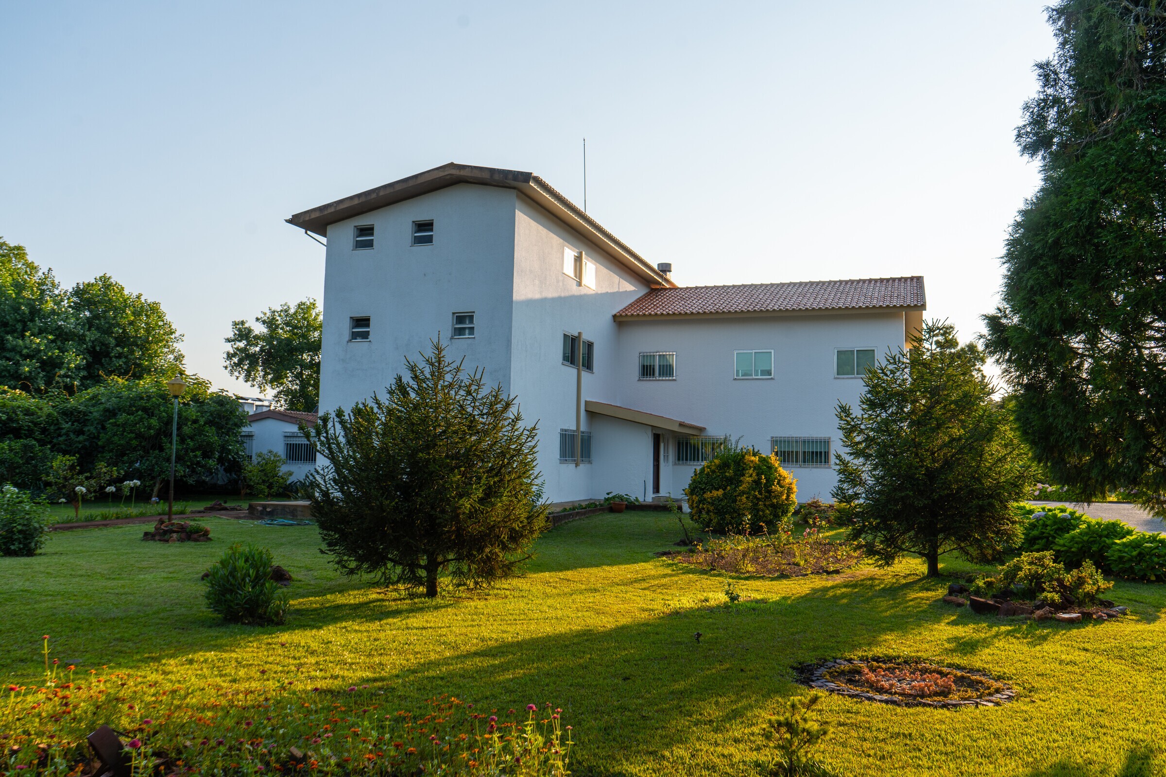 Sementes do Santuário