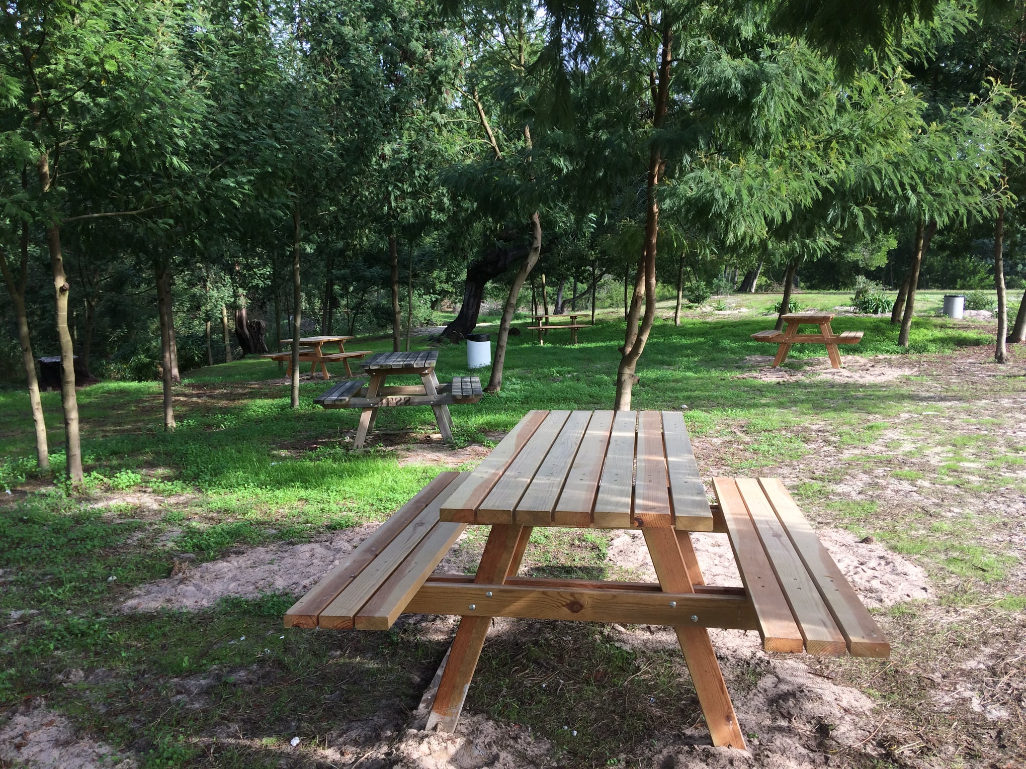 Parque de Merendas da Nossa Senhora dos Campos