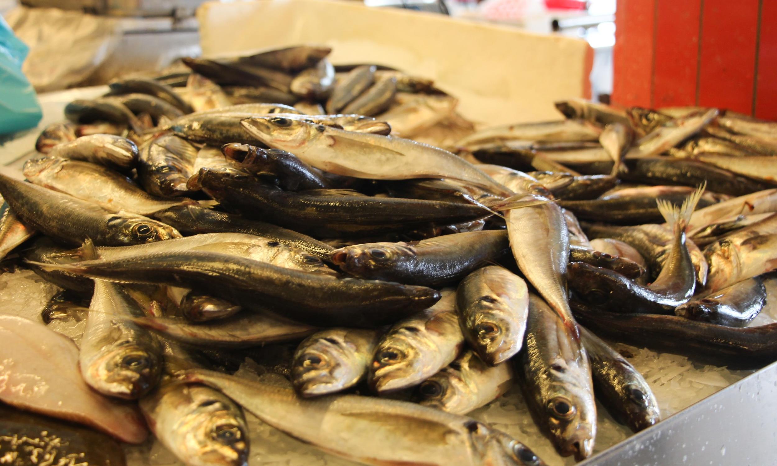 Mercado do Peixe da Costa Nova