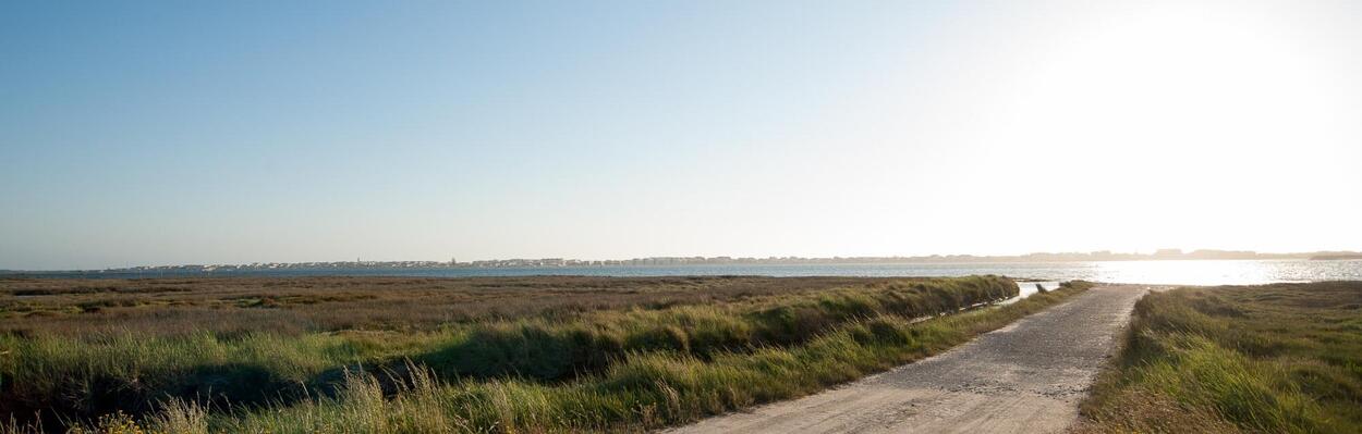 Caminho do Prai&atilde;o, com vista do por-do-sol no Canal de Mira da Ria de Aveiro